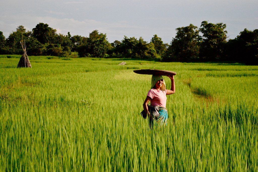 attraction-Kratie Economy 3.jpg